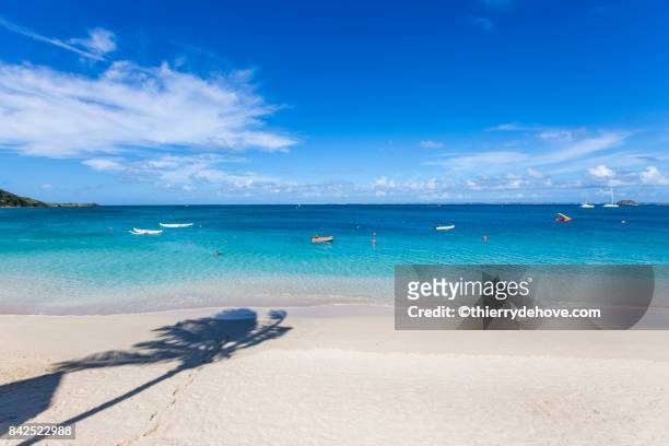 scenery from saint martin's beach in caribbean - guadeloupe bildbanksfoton och bilder