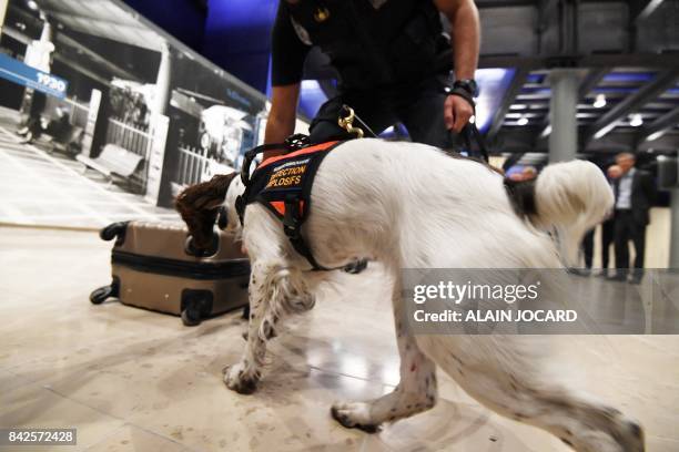 Members of the Ile de France region rail police, take part in a drill with Lina, a springer Spaniel dog trained for explosives detection at a subway...