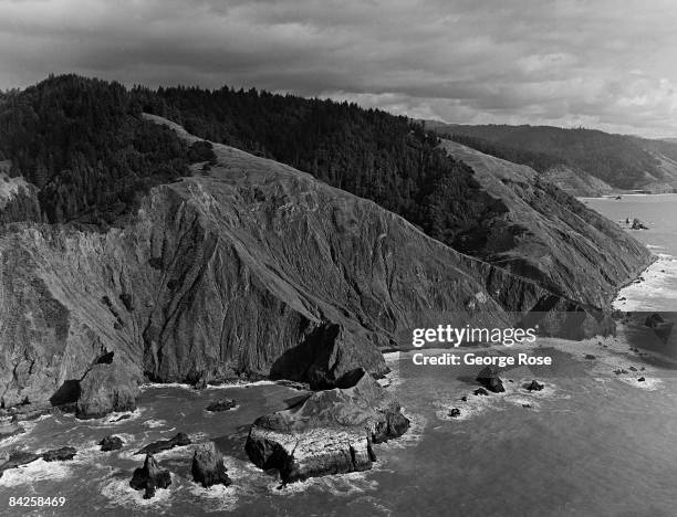 Sinkyone Wilderness State Park Photos and Premium High Res Pictures ...