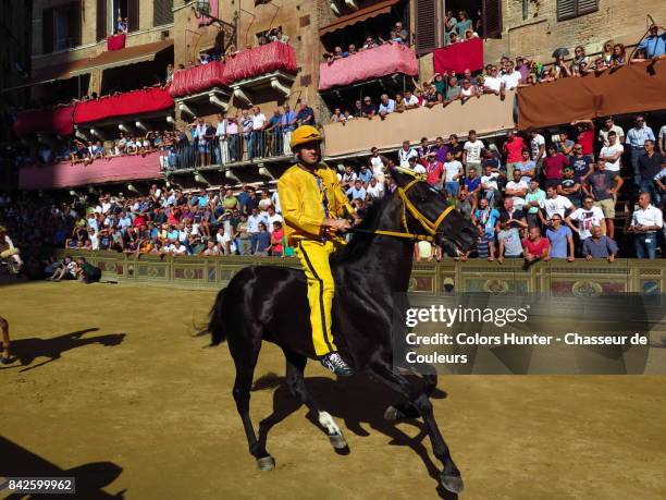 palio of siena #2 - palio di siena 2017 sienas palio horse race stock-fotos und bilder