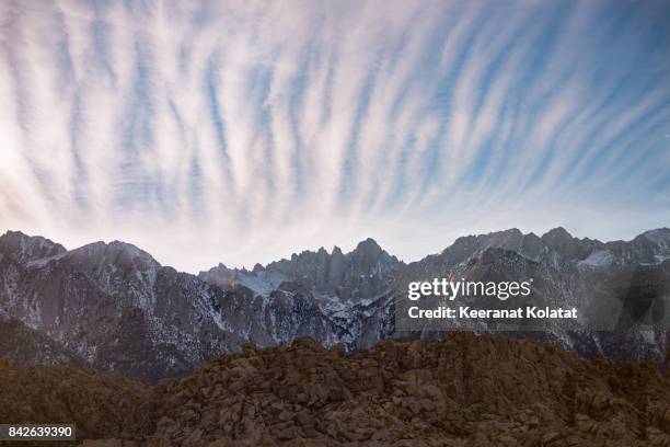 lone pine - low contrast stock pictures, royalty-free photos & images