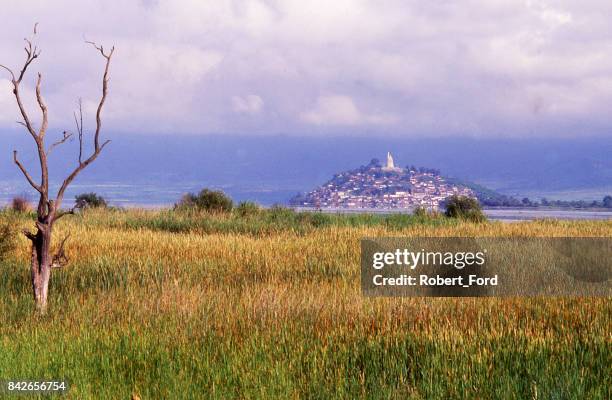 wetlands and bullrushes along lake patzcuaro mexico seen from mainland with janitzio island in distance - michoacán state stock pictures, royalty-free photos & images