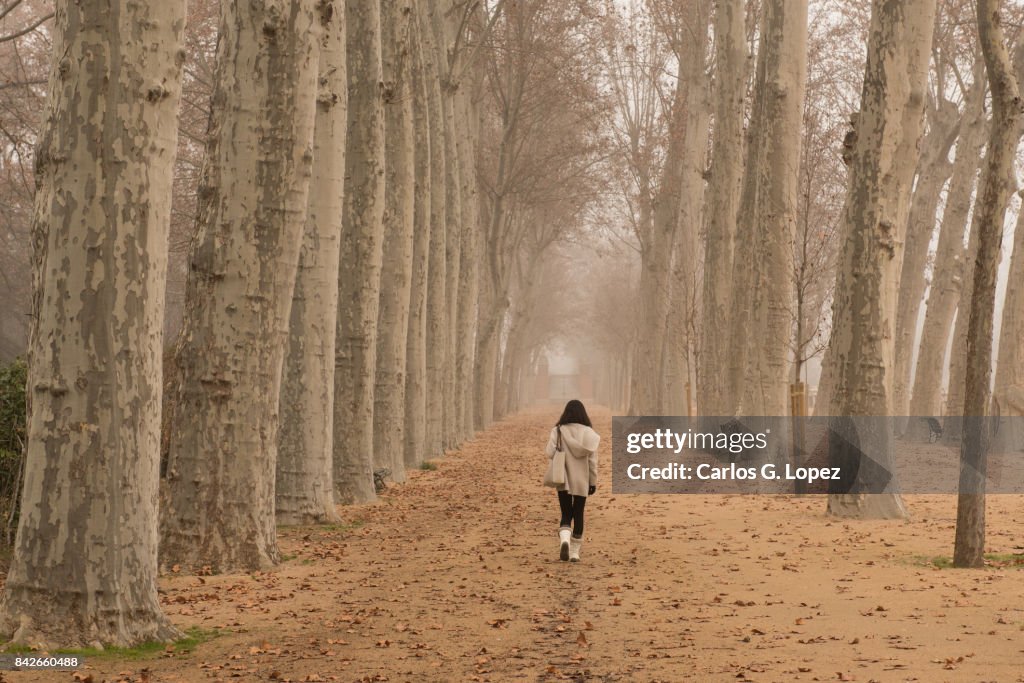 Girl walking on pathway among brown trees in the mist