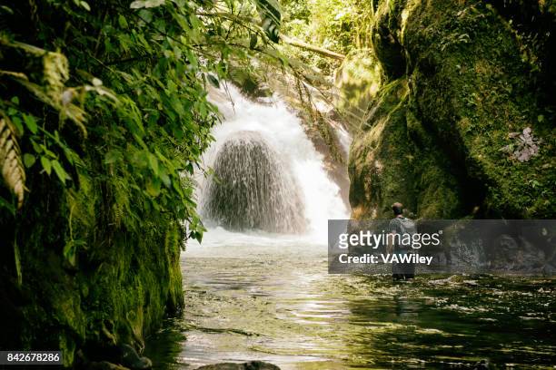 hermosa caminata en la selva con cascada - ecuador fotografías e imágenes de stock