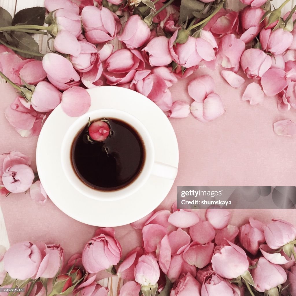 Rosa rose Blume und Kaffee auf Pastell Hintergrund. Flach zu legen