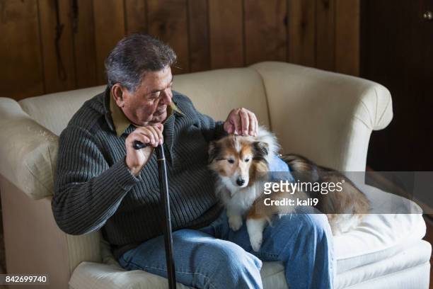senior man sitting with his therapy dog - senior pets stock pictures, royalty-free photos & images