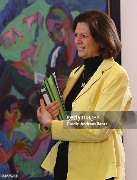 German Agriculture and Consumer Protection Minister Ilse Aigner arrives for the weekly German government cabinet meeting on January 14, 2009 in...