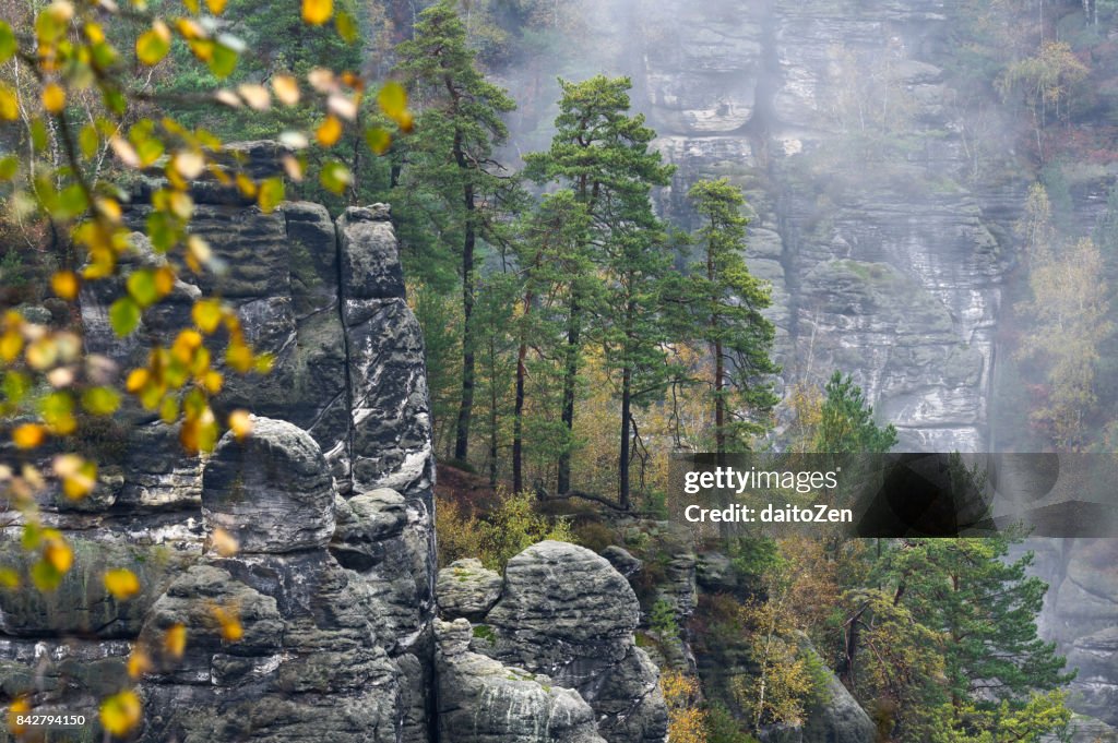 Scenic view over Bastei hiking area in Saechsische Schweiz with sandstone crags and pillars, taken in late October,  Saxon Switzerland National Park, Saxony, Germany, Europe.