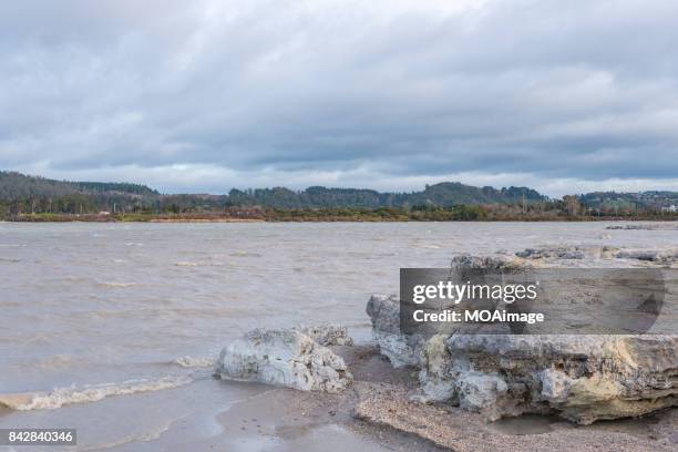 lake rotorua,north island,auckland - rotorua see stock-fotos und bilder