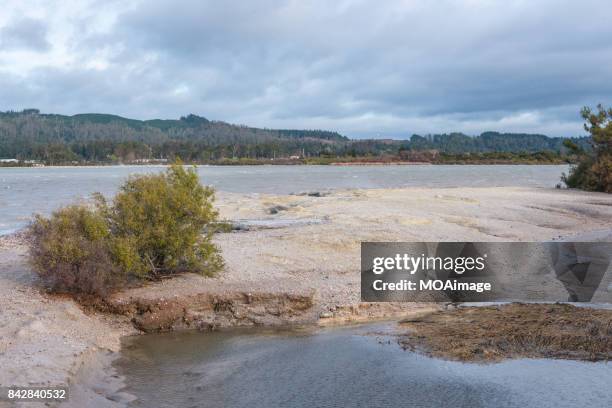 lake rotorua,north island,auckland - rotorua see stock-fotos und bilder