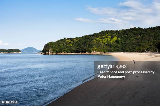 miyajima island, japan - miyajima stock pictures, royalty-free photos & images
