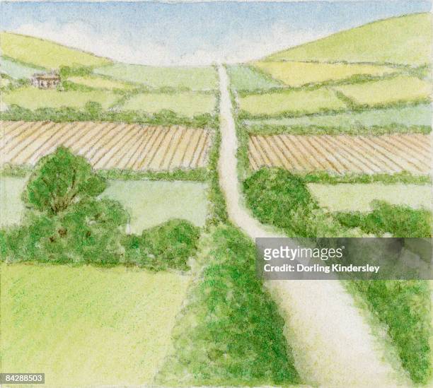 stockillustraties, clipart, cartoons en iconen met illustration of country road through agricultural fields - omgeploegd veld