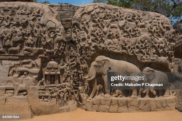 mahabalipuram - arjuna's penance, bas-relief carving, mamallapuram, tamil nadu, india - tamil nadu foto e immagini stock