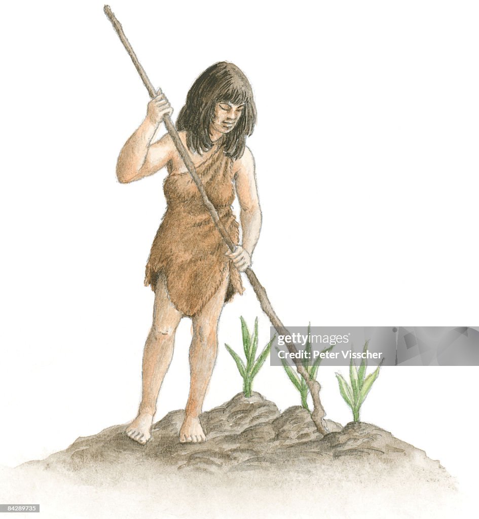 Illustration of prehistoric Mexican woman, wearing animal skin, holding long, thin branch near crops growing in soil