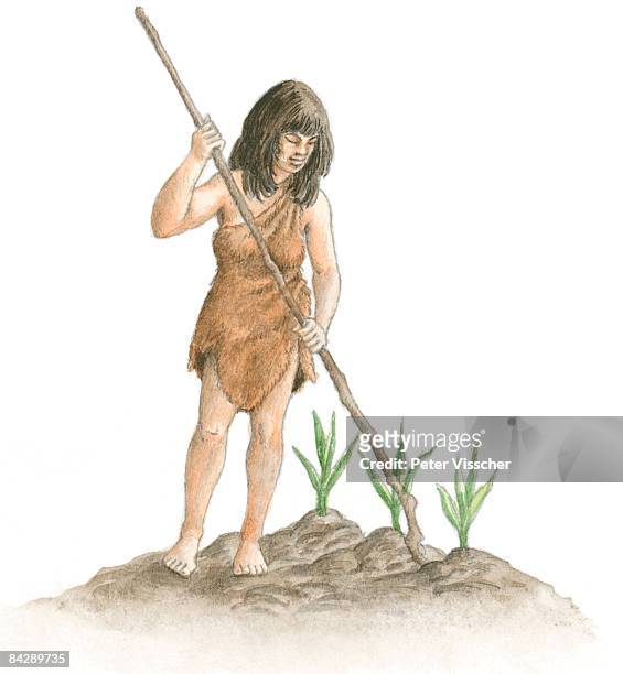 illustration of prehistoric mexican woman, wearing animal skin, holding long, thin branch near crops growing in soil  - prehistoric era stock illustrations