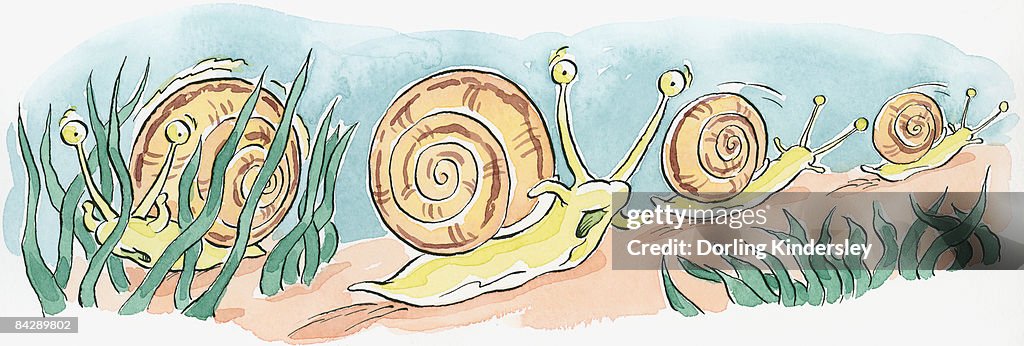 Lsj Cartoon Cartoon Of Row Of Underwater Sea Snails With Mouths Open And Alert Eyes ...