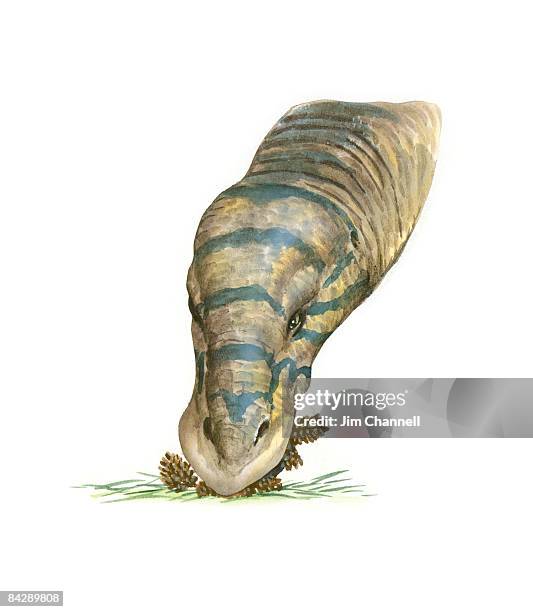 Illustration Of Edmontosaurus Dinosaur With Head Resembling Duck Beak Feeding On Pinecones , Photo