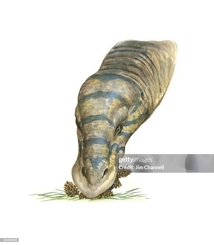 Illustration of Edmontosaurus dinosaur with head resembling duck beak, feeding on pinecones