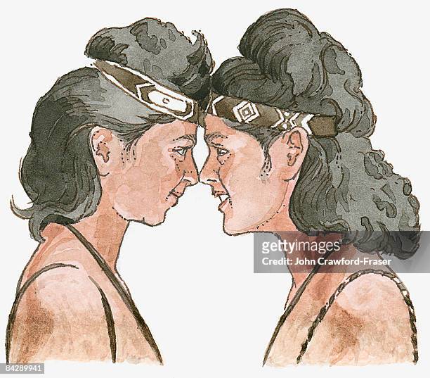 stockillustraties, clipart, cartoons en iconen met illustration of two maori women touching noses in hongi greeting - hongi
