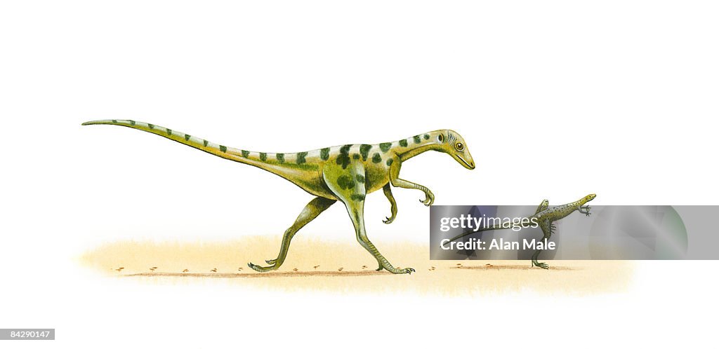 Illustration of Compsognathus dinosaur on the move
