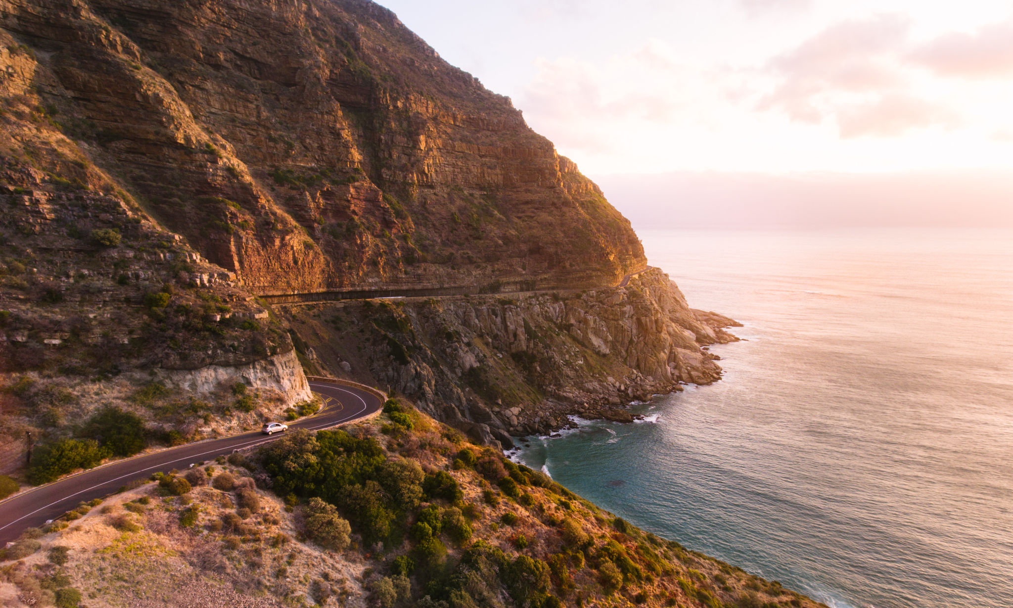 chapman's peak