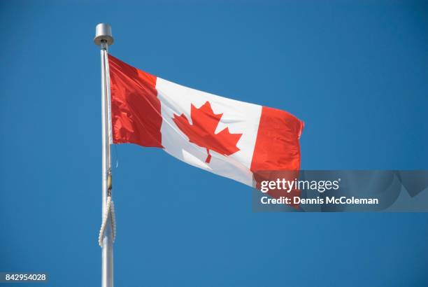 canadian flag - dennis mccoleman imagens e fotografias de stock