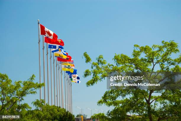 flags of canada - dennis mccoleman imagens e fotografias de stock