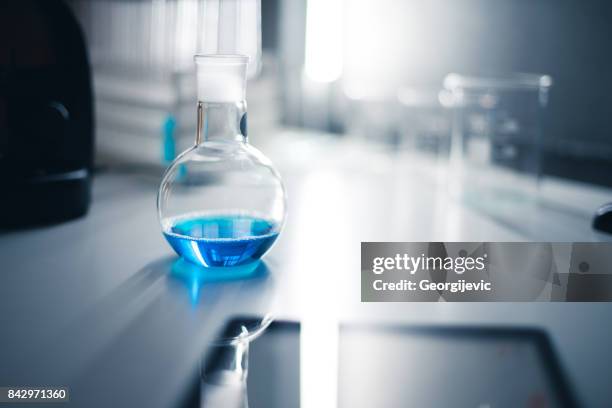 working on new lab experiment - microplate stock pictures, royalty-free photos & images
