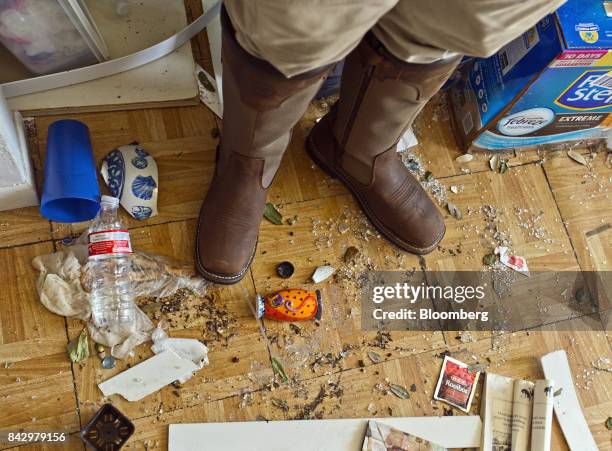 Boot Snake Adjuster 28 Claims Adjuster Home Stock Photos, High-Res Pictures, and Images ...