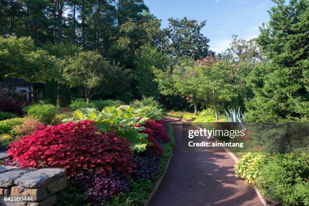 walking path in the sarah p. duke gardens - duke garden stock pictures, royalty-free photos & images