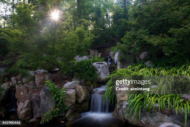waterfalls in the sarah p. duke gardens - duke garden stock pictures, royalty-free photos & images