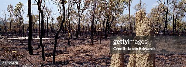 near nitmiluk national park, katherine gorge, northern territory, australia. - nitmiluk park stock pictures, royalty-free photos & images