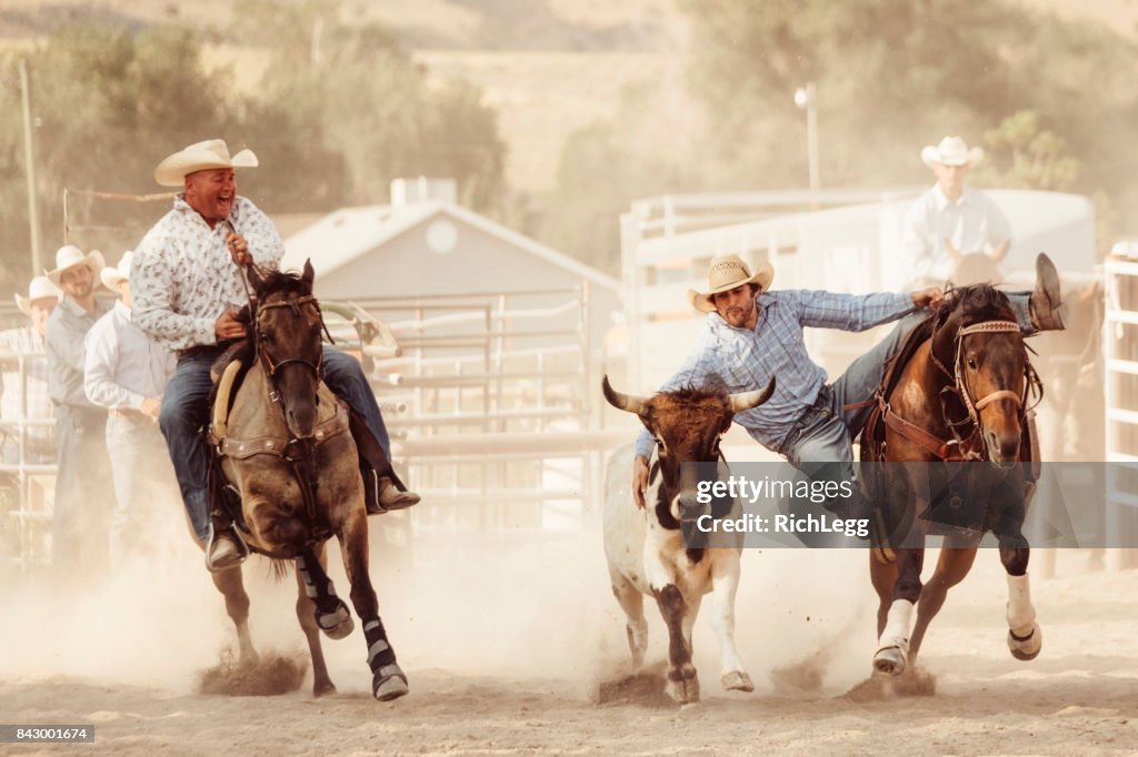 Cowboy Lifestyle in Utah