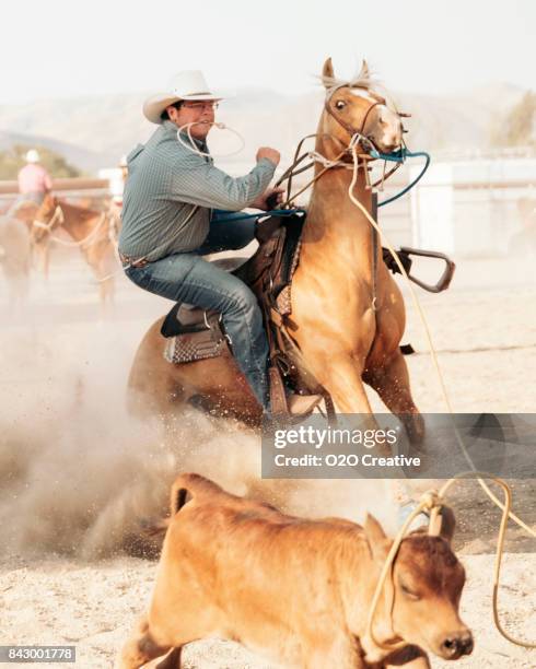 Cowboy Lasoo Photos and Premium High Res Pictures - Getty Images