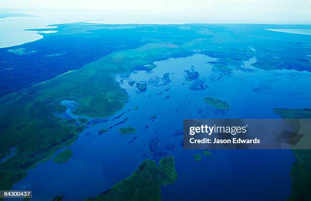 lake victoria, central uganda. - lake victoria stock pictures, royalty-free photos & images