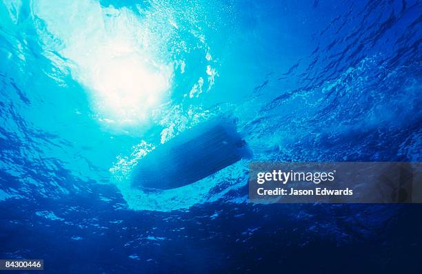 east diamond island, coral sea islands territory, australia. - inquadratura estrema dal basso foto e immagini stock