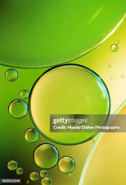 lemon and lime - oil liquid stock-fotos und bilder