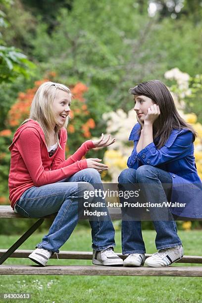 girls talking in park - nur mädchen stock-fotos und bilder