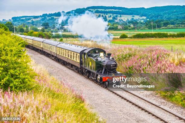 gloucestershire warwickshire steam railway train de fleurs sauvages - warwickshire stock photos et images de collection