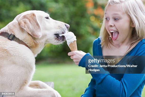 dog eating girl's ice cream cone - dog stealing food stock pictures, royalty-free photos & images