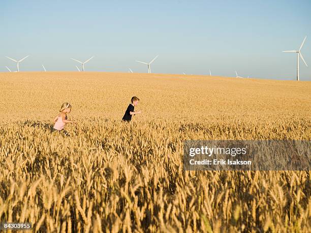 children running through tall wheat field on wind farm - sister stock pictures, royalty-free photos & images