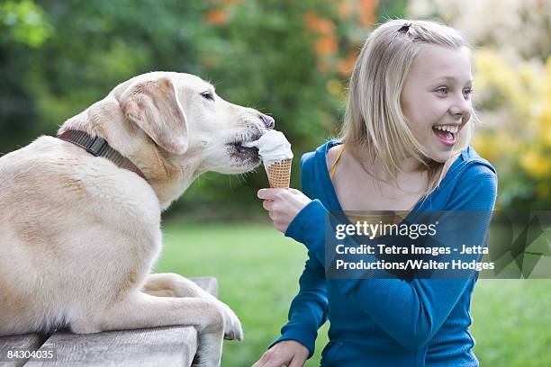 dog eating girl's ice cream cone - dog eating a girl out stockfoto's en -beelden