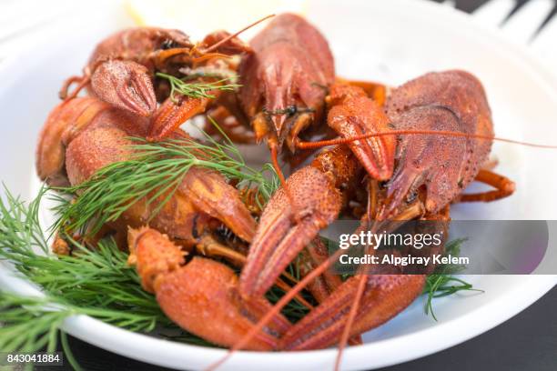 ready-to-eat lobster - lobster dinner stock pictures, royalty-free photos & images