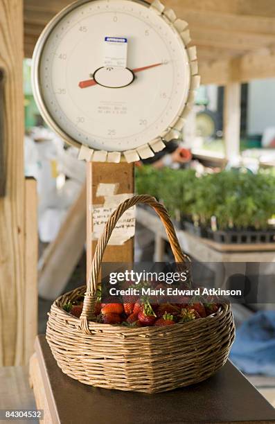 basket of fresh strawberries on scale - strawberry mark stock pictures, royalty-free photos & images