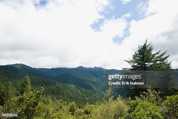 forest and mountains - rogue river stock pictures, royalty-free photos & images