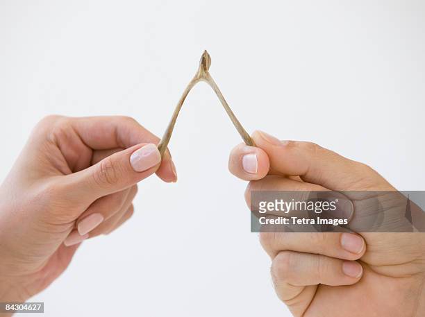 close up of couple pulling wishbone - wishbone ストックフォトと画像