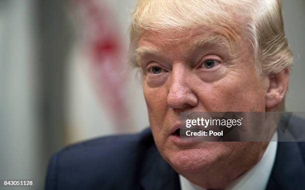 President Donald Trump delivers remarks during a meeting with Speaker of the House Paul Ryan, Senate Majority Leader Mitch McConnell , Chairman of...