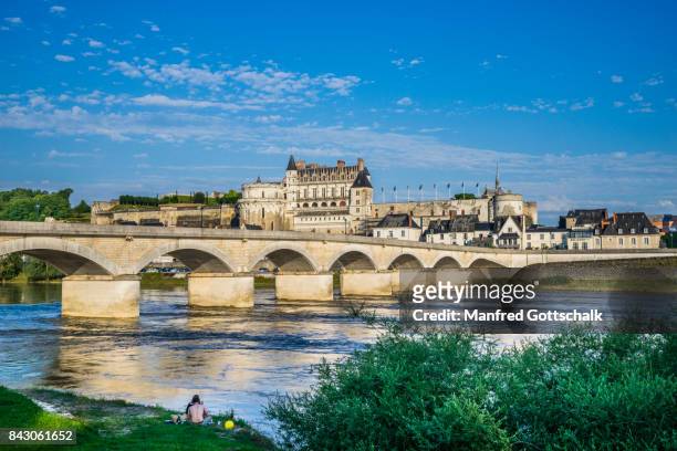 view of amboise across the loire river - amboise stock pictures, royalty-free photos & images
