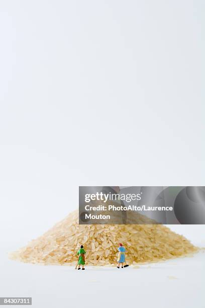 miniature women sweeping large pile of rice - female likeness stock pictures, royalty-free photos & images