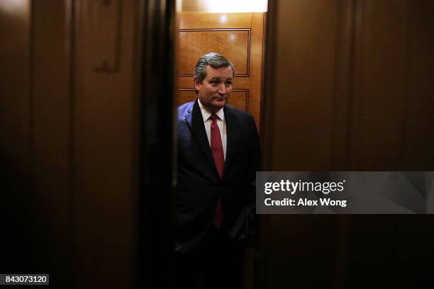 Sen. Ted Cruz leaves after a vote at the Capitol September 5, 2017 in Washington, DC. Congress is back from summer recess with a heavy legislative...